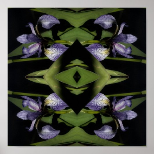 Blue Flag Iris Flower Abstract Poster (Voorkant)