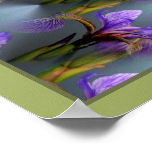 Blue Flag Iris Flower Abstracte Natuur Poster (Hoek)