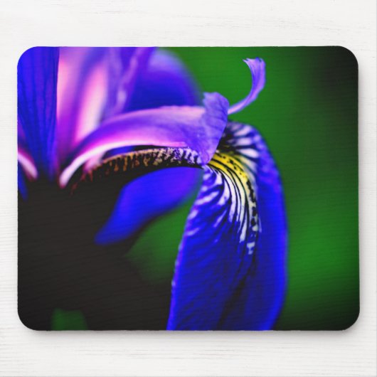 Blue Flag Iris Flower Petal Muismat (Voorkant)
