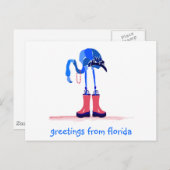 Blue Flamingo, Greetings uit Florida Briefkaart (Voorkant / Achterkant)