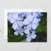 Blue Floral Bokeh Briefkaart (Voorkant / Achterkant)