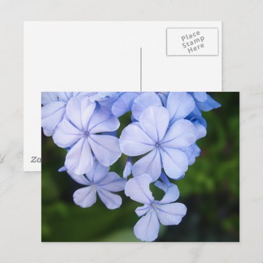 Blue Floral Bokeh Briefkaart (Voorkant / Achterkant)