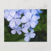 Blue Floral Bokeh Briefkaart (Voorkant)