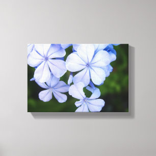Blue Floral Bokeh Canvas Afdruk