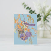 Blue Florida Scrub Jay Audubon Birds met Sinaasapp Briefkaart (Staand voorkant)