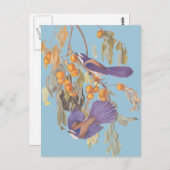 Blue Florida Scrub Jay Audubon Birds met Sinaasapp Briefkaart (Voorkant / Achterkant)