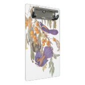 Blue Florida Scrub Jay Audubon Birds met Sinaasapp Mini Klembord (Schuin)