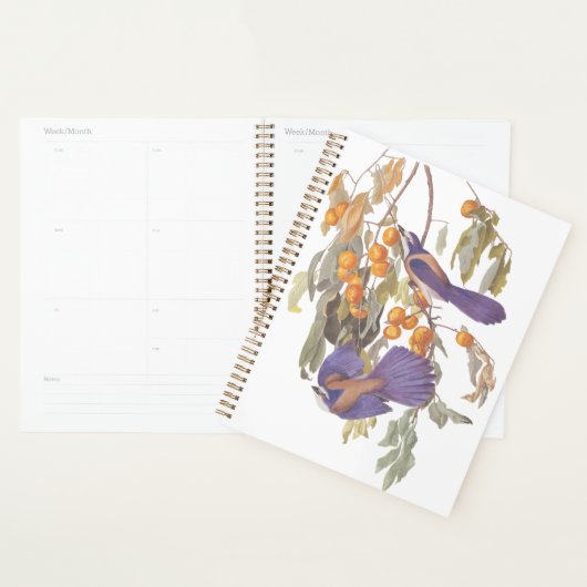 Blue Florida Scrub Jay Audubon Birds met Sinaasapp Planner (Display)