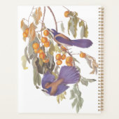 Blue Florida Scrub Jay Audubon Birds met Sinaasapp Planner (Achterkant)