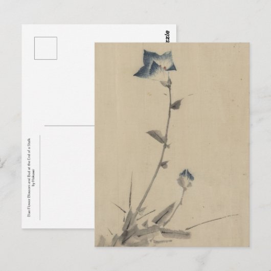 Blue Flower Blossom en Bud aan het einde van een t Briefkaart (Voorkant / Achterkant)