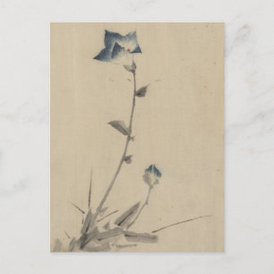 Blue Flower Blossom en Bud aan het einde van een t Briefkaart