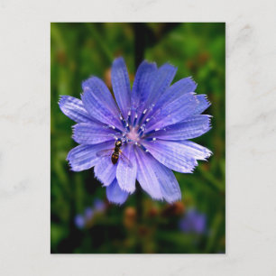 Blue Flower-postkaart Briefkaart