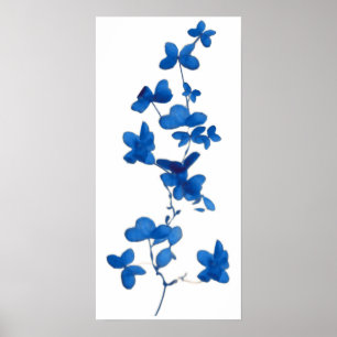 Blue Flower Print