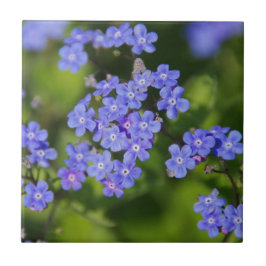 Blue Flowers Blossom Destiny Peace Love Park Vine Tegeltje