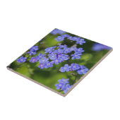 Blue Flowers Blossom Destiny Peace Love Park Vine Tegeltje (Zijkant)