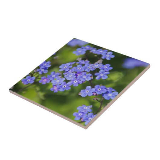 Blue Flowers Blossom Destiny Peace Love Park Vine Tegeltje (Zijkant)