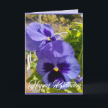 Blue Flowers Floral Pansy Foto Art Kaart<br><div class="desc">Purple Flowers Floral foto Birthday Kaart,  met de volledig aanpasbare meisjesnaam. Handbeschilderde waterverf van de viool die groeit in een pot hier in mijn tuin in het voorjaar. Stuur een kaart met de kleuren,  vorm en schoonheid van de natuur. Een kleine glimlach op een kaart!</div>