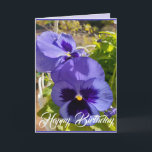 Blue Flowers Floral Pansy Foto Art Kaart<br><div class="desc">Purple Flowers Floral foto Birthday Kaart,  met de volledig aanpasbare meisjesnaam. Handbeschilderde waterverf van de viool die groeit in een pot hier in mijn tuin in het voorjaar. Stuur een kaart met de kleuren,  vorm en schoonheid van de natuur. Een kleine glimlach op een kaart!</div>
