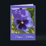 Blue Flowers Floral Pansy Foto Birthday Card Kaart<br><div class="desc">Purple Flowers Floral foto Birthday Card,  met de volledige klantgerichte meisjesnaam. Foto van de violen die groeien in een pot hier in mijn tuin in de lente. Stuur een kaart met de kleuren,  vorm en schoonheid van de natuur. Een kleine glimlach op een kaart!</div>