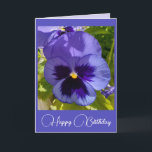 Blue Flowers Floral Pansy Foto Birthday Card Kaart<br><div class="desc">Purple Flowers Floral foto Birthday Card,  met de volledige klantgerichte meisjesnaam. Foto van de violen die groeien in een pot hier in mijn tuin in de lente. Stuur een kaart met de kleuren,  vorm en schoonheid van de natuur. Een kleine glimlach op een kaart!</div>