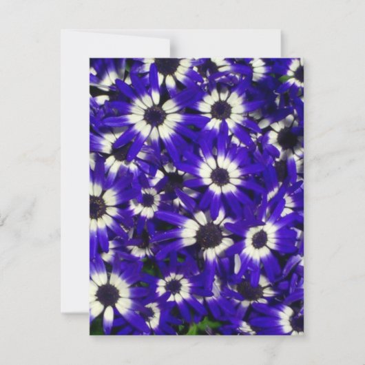 Blue Flowers Invitation Kaart (Voorkant)