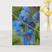 Blue Flowers Kaart (Gele Bloem)