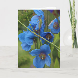 Blue Flowers Kaart
