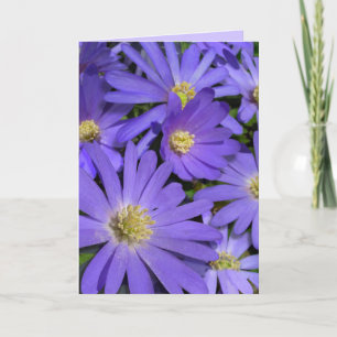 Blue Flowers Kaart Daisy Wenskaart Blank