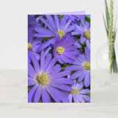 Blue Flowers Kaart Daisy Wenskaart Blank (Voorkant)