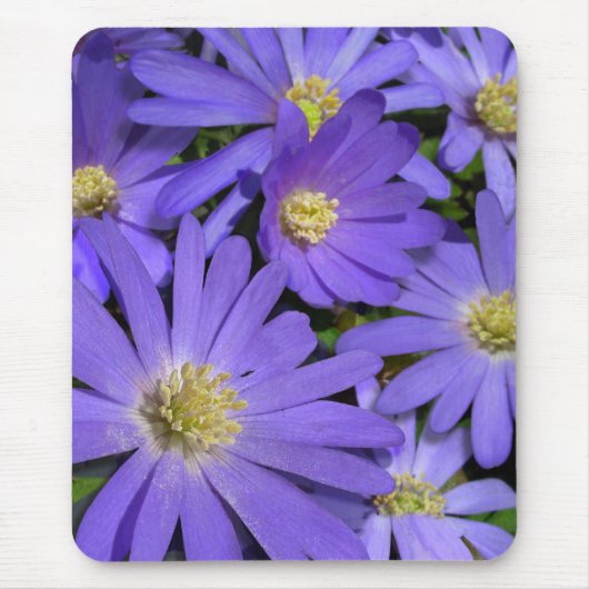 Blue Flowers Mousepad Paars/Blue Decor Gifts Muismat (Voorkant)