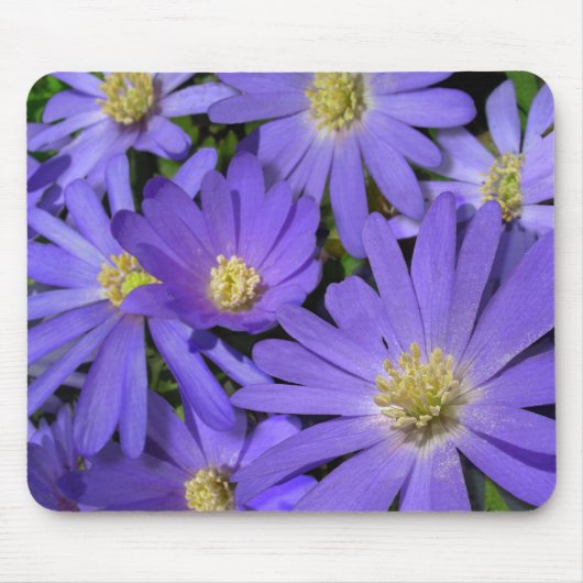Blue Flowers Mousepad Paars/Blue Decor Gifts Muismat (Voorkant)