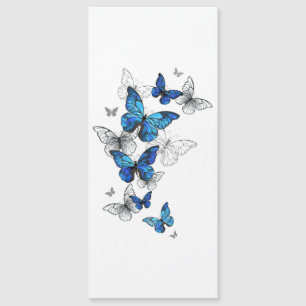 Blue Flying Butterflies Morpho