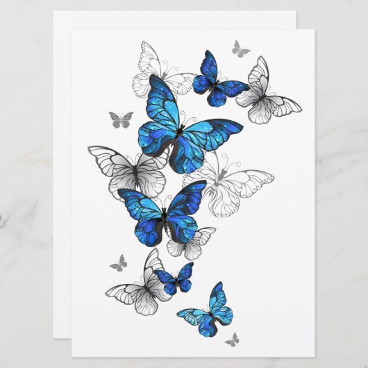Blue Flying Butterflies Morpho (Voorkant / Achterkant)