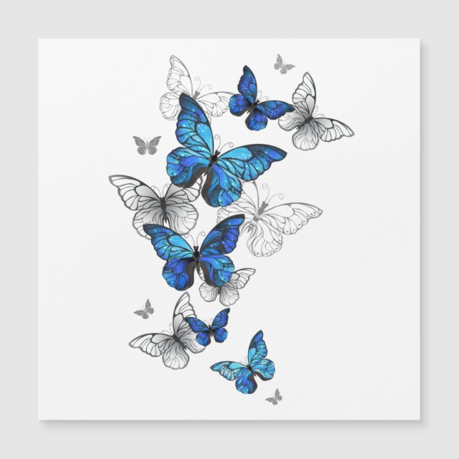Blue Flying Butterflies Morpho (Voorkant)