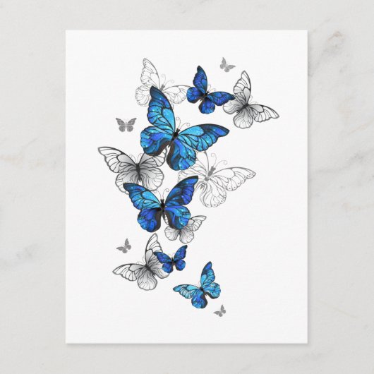 Blue Flying Butterflies Morpho Advieskaart (Voorkant)