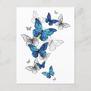 Blue Flying Butterflies Morpho Briefkaart