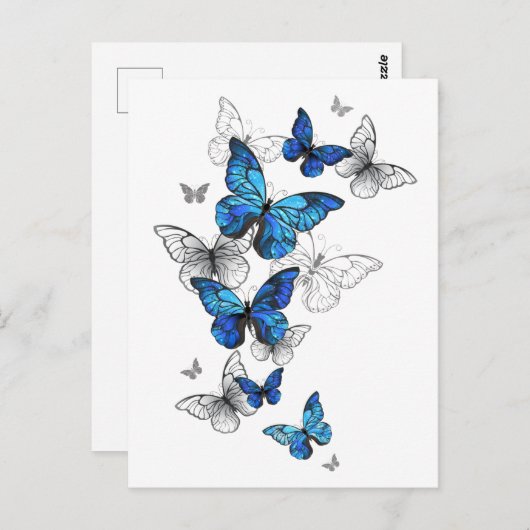 Blue Flying Butterflies Morpho Briefkaart (Voorkant / Achterkant)