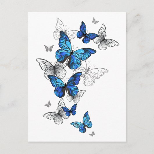 Blue Flying Butterflies Morpho Briefkaart (Voorkant)