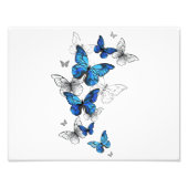 Blue Flying Butterflies Morpho Foto Afdruk (Voorkant)