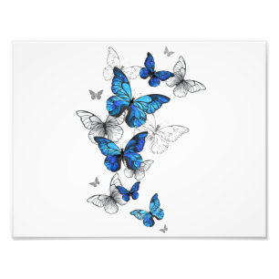 Blue Flying Butterflies Morpho Foto Afdruk