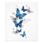 Blue Flying Butterflies Morpho Foto Afdruk (Voorkant)