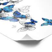 Blue Flying Butterflies Morpho Foto Afdruk (Hoek)