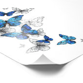 Blue Flying Butterflies Morpho Foto Afdruk (Hoek)