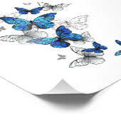 Blue Flying Butterflies Morpho Foto Afdruk (Hoek)
