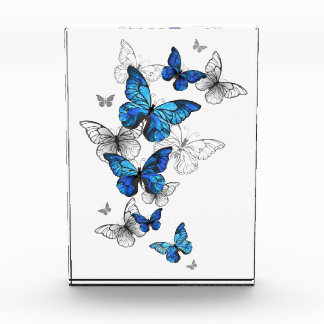Blue Flying Butterflies Morpho Fotoblokken