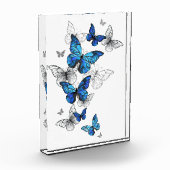 Blue Flying Butterflies Morpho Fotoblokken (Links)