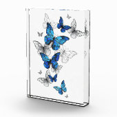 Blue Flying Butterflies Morpho Fotoblokken (Rechts)