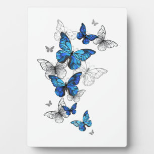 Blue Flying Butterflies Morpho Fotoplaat
