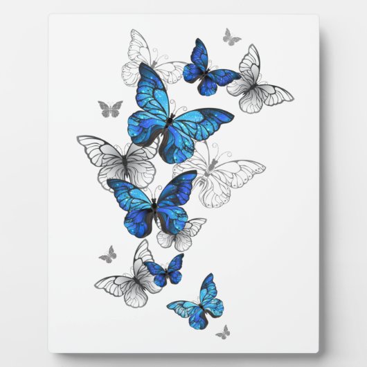 Blue Flying Butterflies Morpho Fotoplaat (Voorkant)