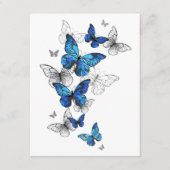 Blue Flying Butterflies Morpho Informatiekaartje (Voorkant)